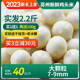 9mm鸡米头非手剥 多送100g 十善村大颗粒鸡头米新鲜苏州2023芡实7