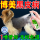博美黑皮病宠物皮肤病专用药狗狗掉毛x脱毛囊受损修复快速长毛药