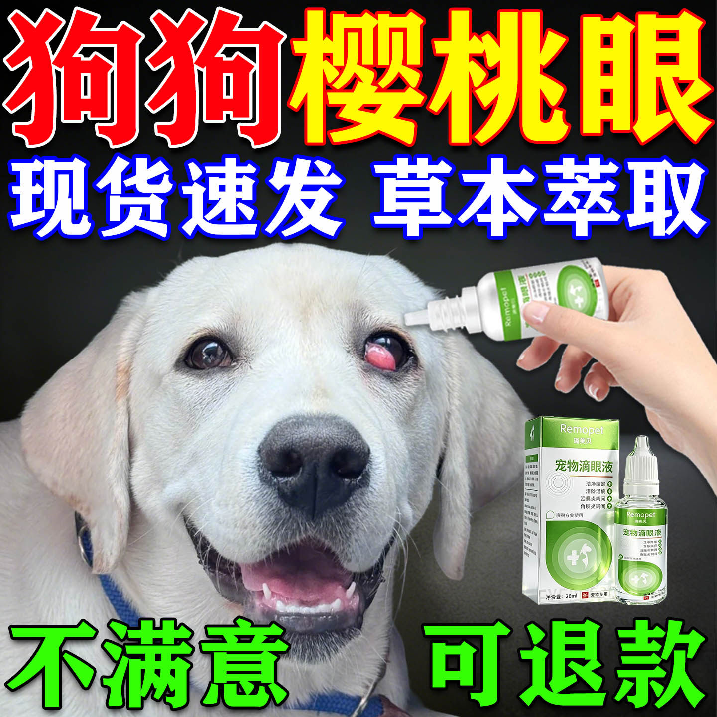 狗狗樱桃眼滴眼液狗狗第三眼睑增生腺体脱出眼息肉眼睛发红