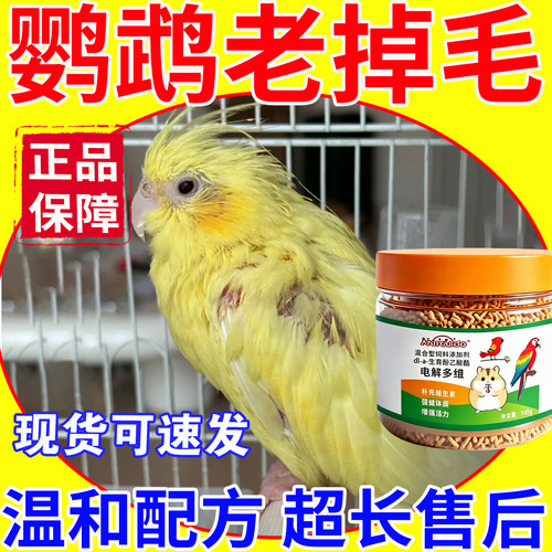 鹦鹉掉毛多维电解质营养补充剂