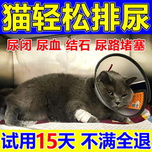 猫咪尿频尿血尿路感染宠物猫犬膀胱炎尿结石猫咪狗狗消炎利尿通淋