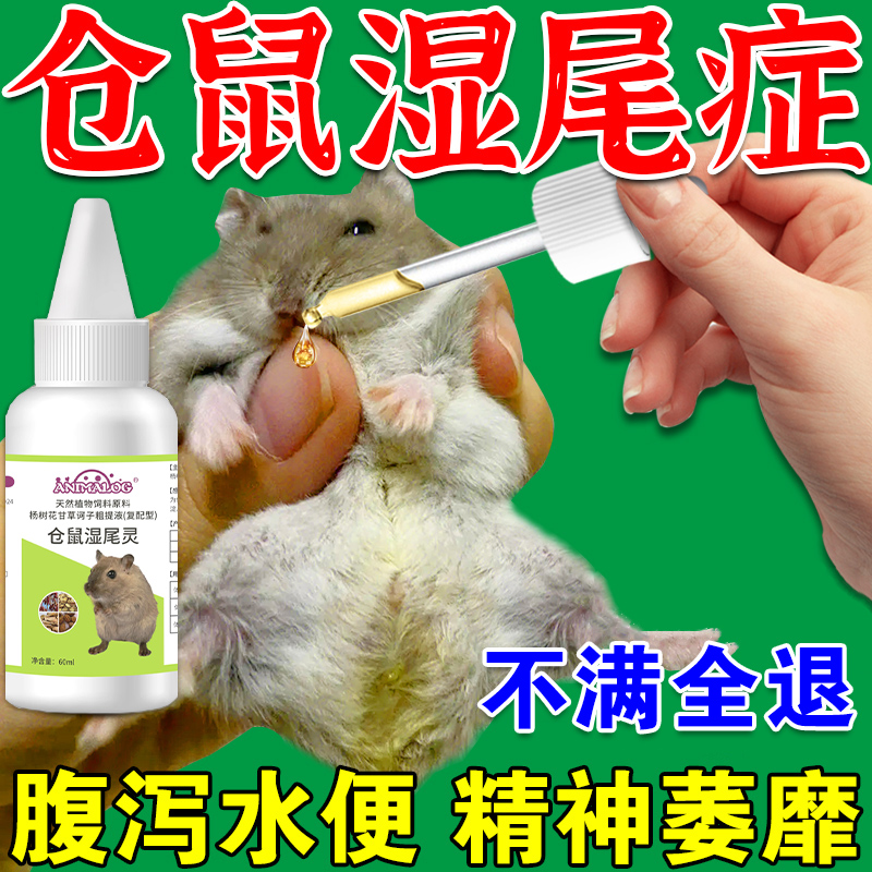 【一次对症】仓鼠湿尾专用药