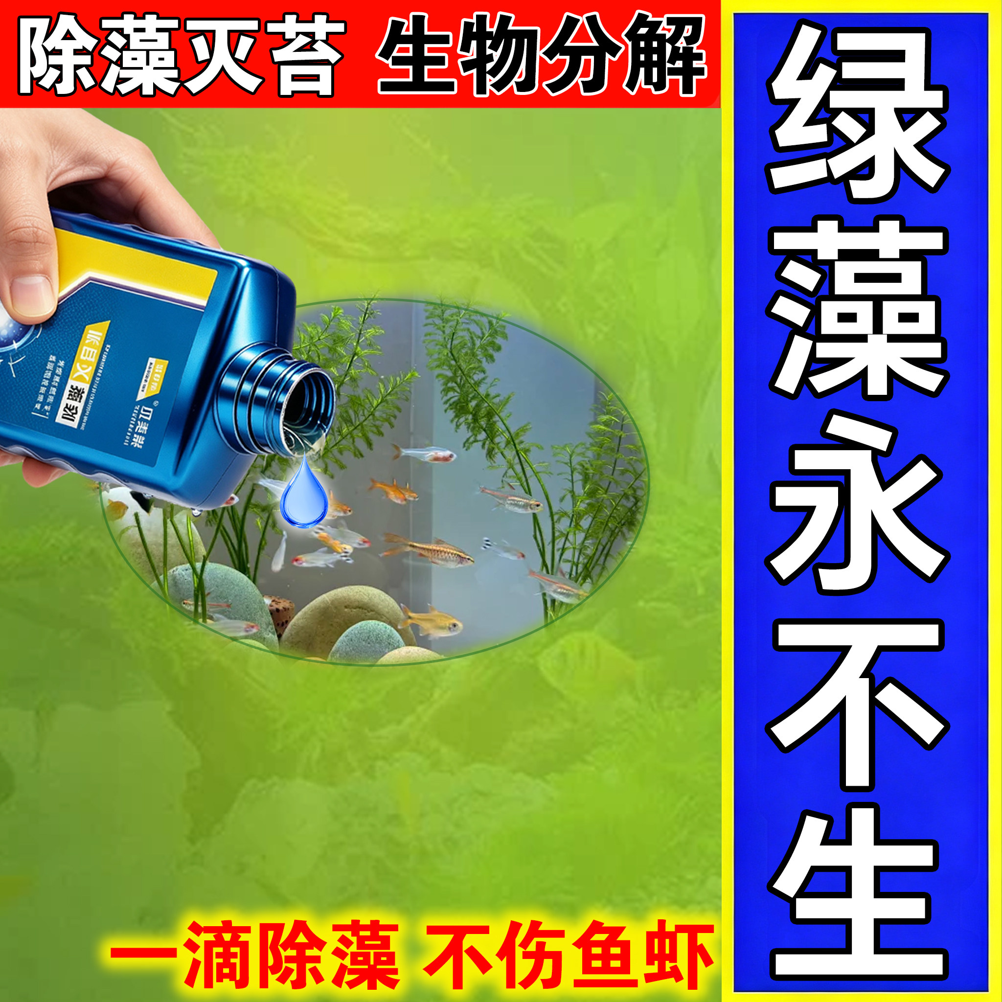 鱼缸除藻去苔剂去藻青苔不伤鱼除绿水褐藻黑毛藻戊二醛鱼缸除藻剂