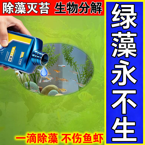 【一秒除藻】安全不伤鱼