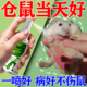 仓鼠皮肤病专用喷剂药神仙水金丝熊真菌感染止痒抑菌皮癣红肿脱毛