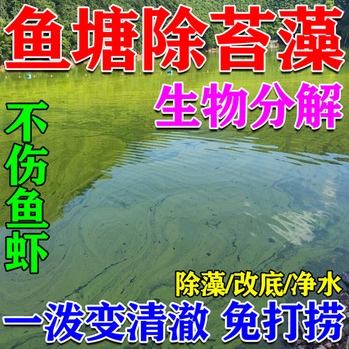 室外鱼塘免打捞除藻去苔不伤鱼虾