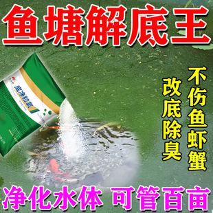 鱼塘解底鱼池发绿浑浊净化剂除铁锈水质油膜改消毒杀菌增氧净水灵
