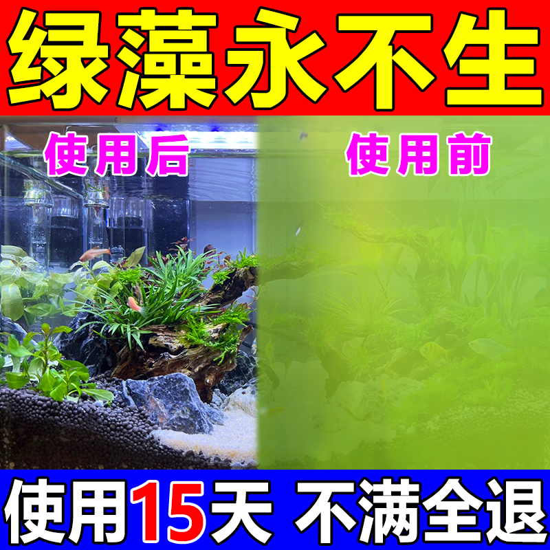 【一秒除藻】安全不伤鱼