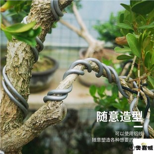 新盆景造型专用铝线大型铝丝定型盘扎H铁丝园艺制作工具绿植固定