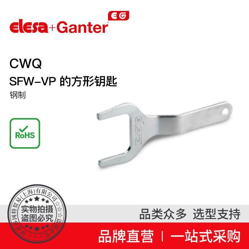 Elesa Ganter伊莉莎冈特 CWQ SFW-VP的方形钥匙 镀锌钢