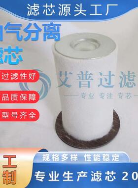 AP生产6.3792.0油分替代 工业环保除尘设备 空压机不锈钢滤芯