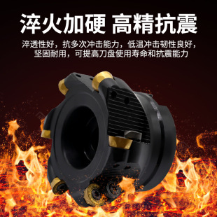 50R5圆鼻铣刀盘63R6飞刀盘EMR刀盘TRS/EMRW R50/R63/R80/100/125