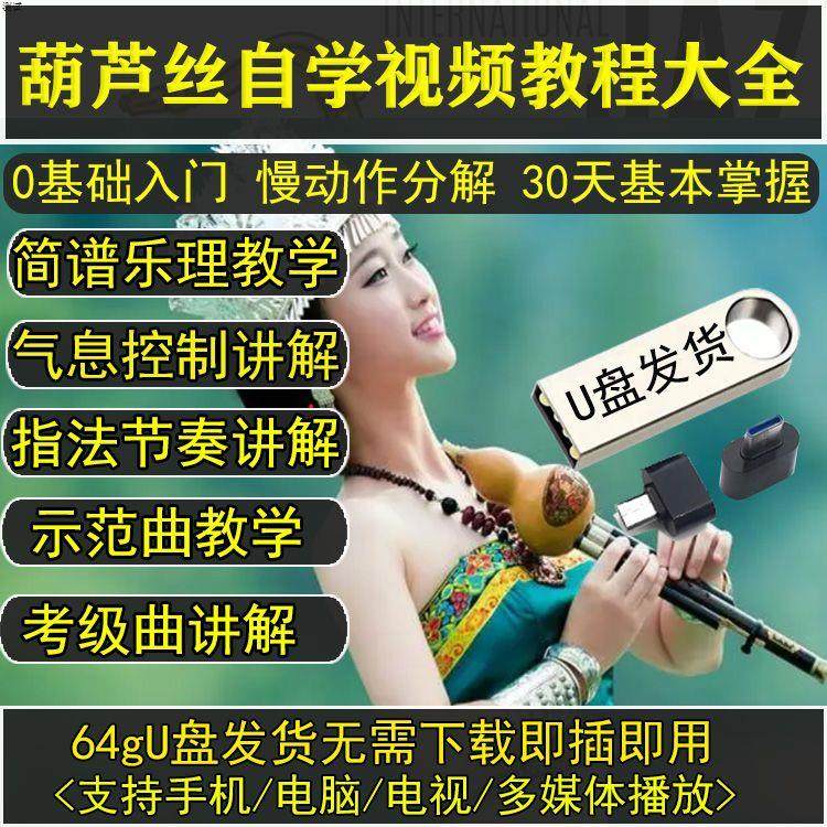 葫芦丝教程自学u盘新手初学者零基础入门李春华实用巴乌学习全套