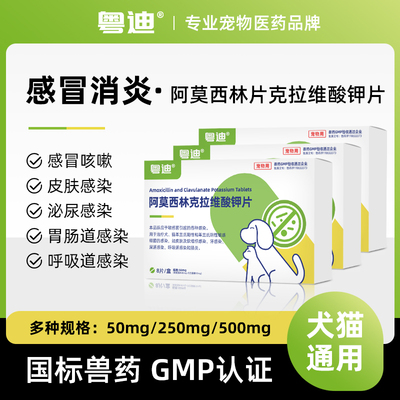 猫狗宠物感冒鼻支咳嗽流鼻涕消炎