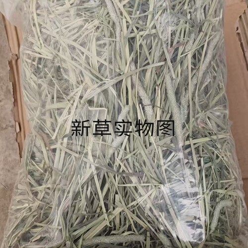 兔子干草龙猫豚鼠牧草兔粮荷兰猪饲料草粮