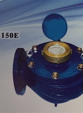 埃美柯LXSY-E 077铁壳全液封法兰表冷水表DN80100150