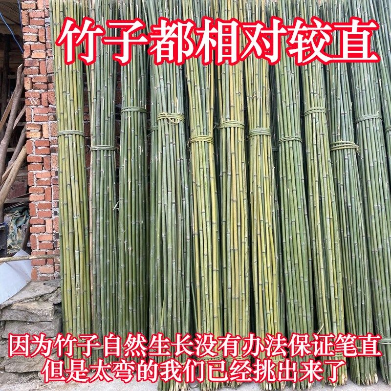 竹竿小竹杆菜园搭架子篱笆栅栏菜旗杆阳台植物豆角黄瓜爬藤花架