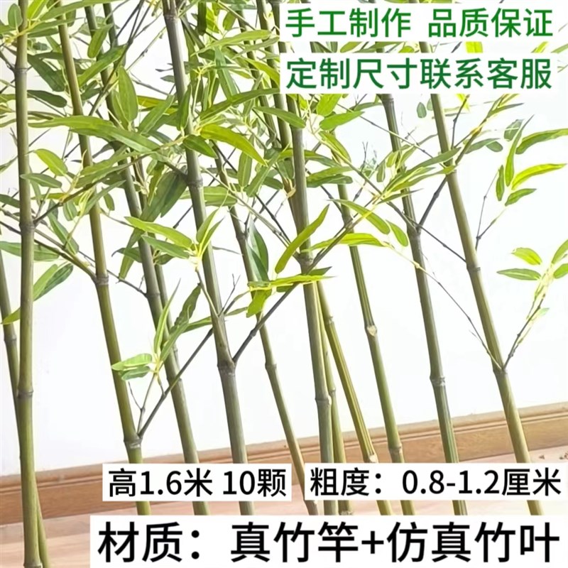 仿真竹子室内外装饰假竹子仿真植物造景仿生竹子景观绿植遮挡加密