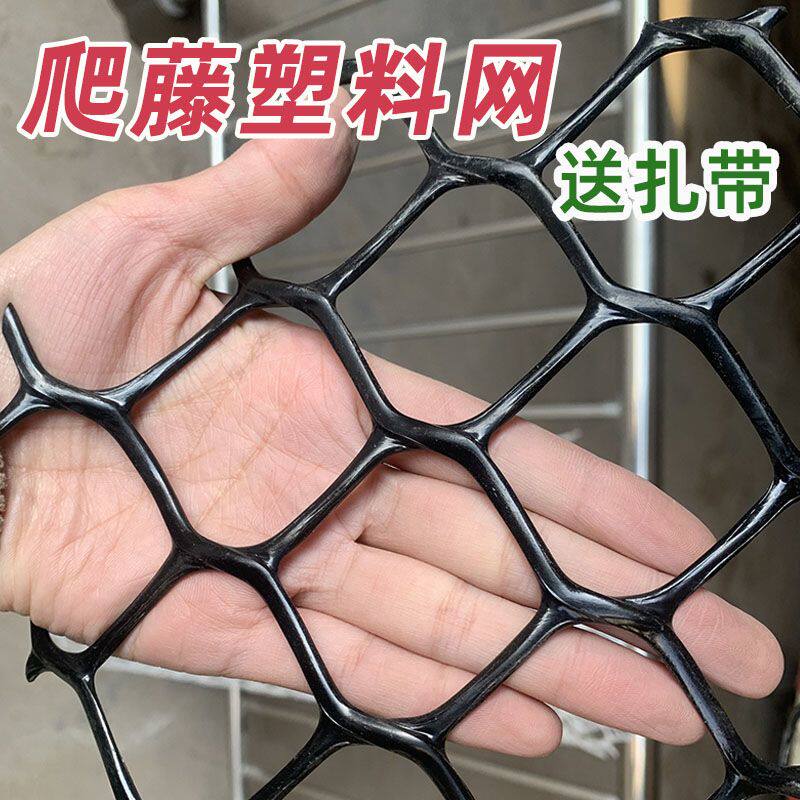 蔷薇爬藤网网塑料白色网架藤蔓植物月季墙面攀爬支架室内花架牵引图片
