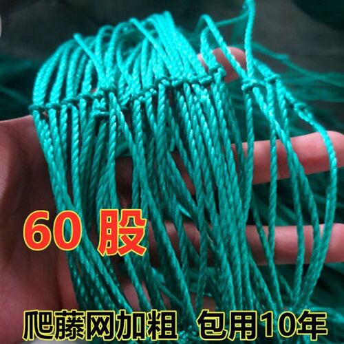 植物爬藤网菜园园艺黄瓜藤架百香果墙面阳台攀爬网格支架丝瓜架网