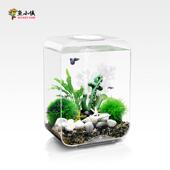 鱼小侠创意鱼缸桌面客厅静音增氧小鱼缸免换水净化水族箱造景装 饰