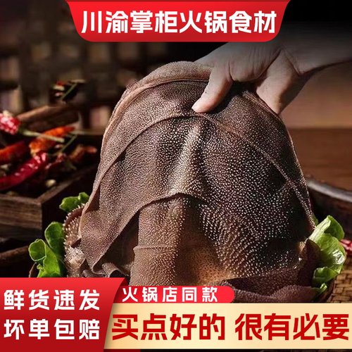 新鲜整块毛肚火锅毛肚大叶片