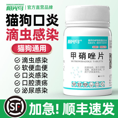 阳光鸟宠物牙周炎口腔溃疡