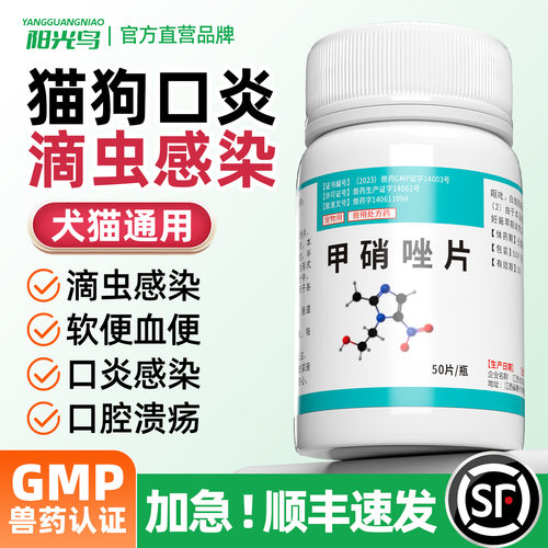 宠物猫咪口炎舌头起泡口腔溃疡