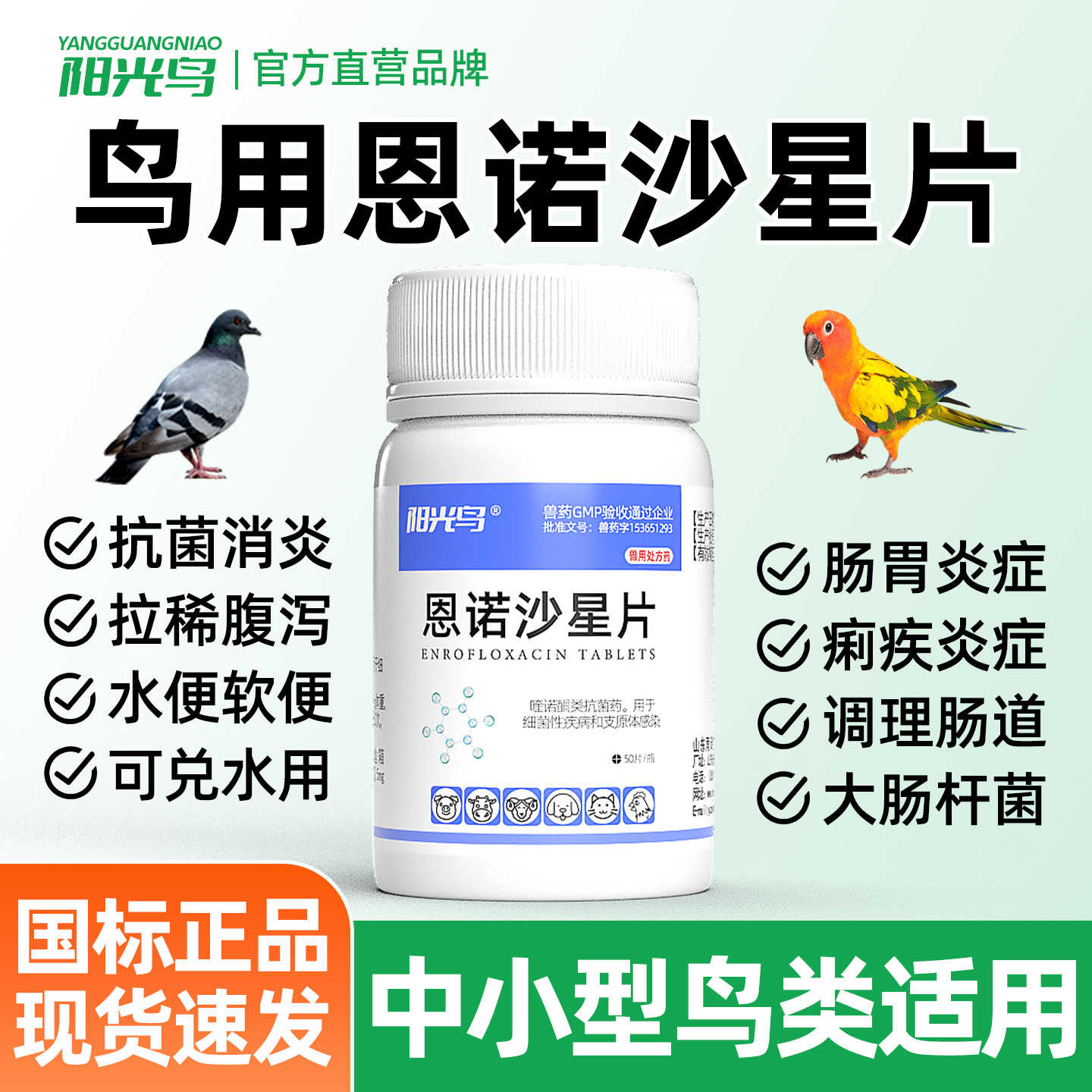 恩诺沙星片鸟用肠炎拉稀药黄白痢