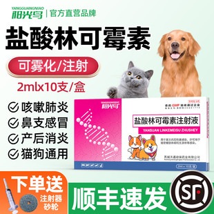 宠物用盐酸林可霉素注射液猫鼻支雾化药猫狗用感冒咳嗽流鼻涕消炎