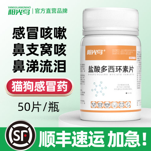 猫咪狗狗感冒咳嗽流鼻涕鼻支用药