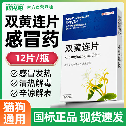 猫咪感冒药打喷嚏阳光鸟
