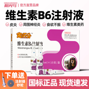 维生素b6注射用液兽药异狗狗解毒药烟肼中毒神经炎狗猫呕吐止吐药