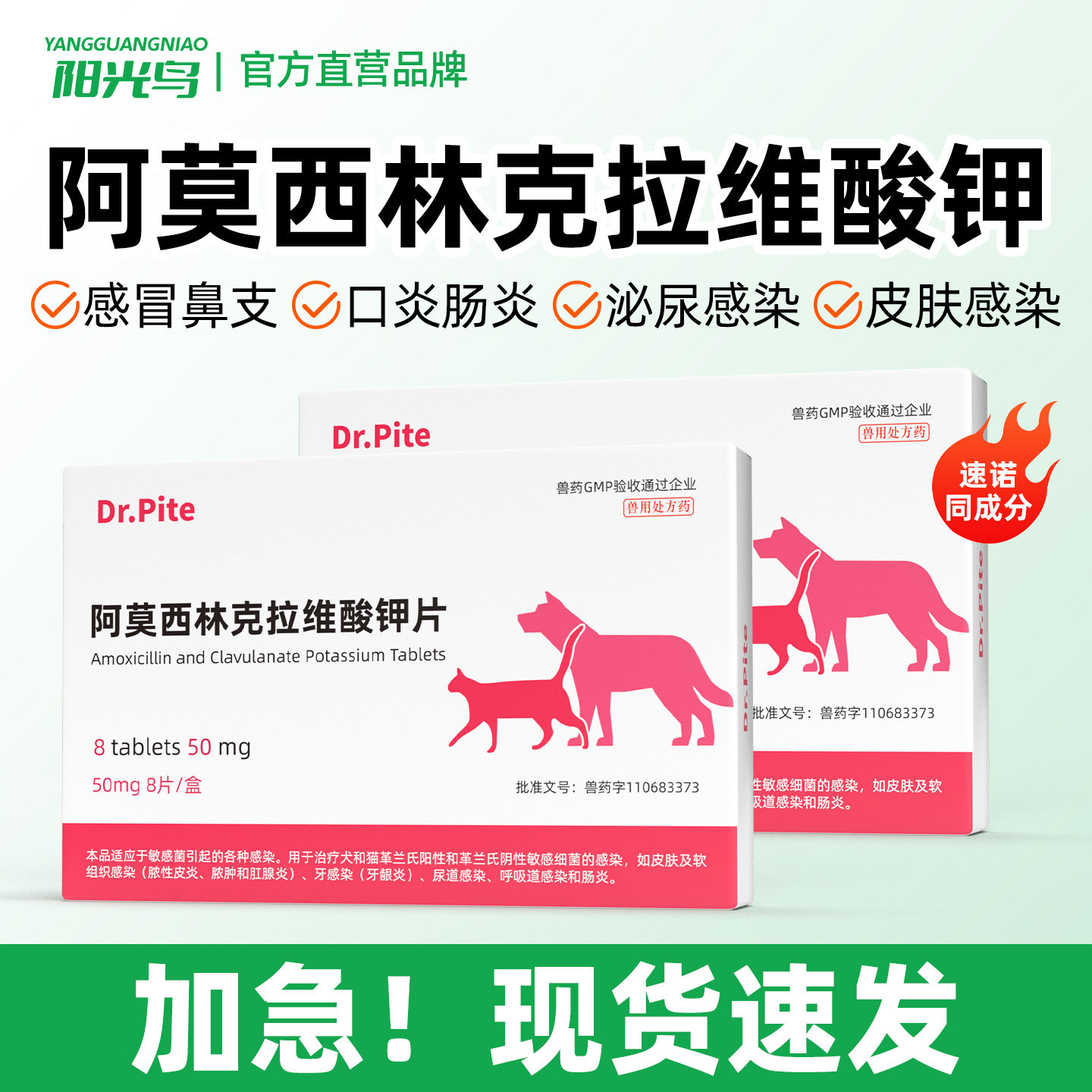 阿莫西林克拉维酸钾宠物猫咪狗狗专用感冒咳嗽消炎药片速猫鼻支诺