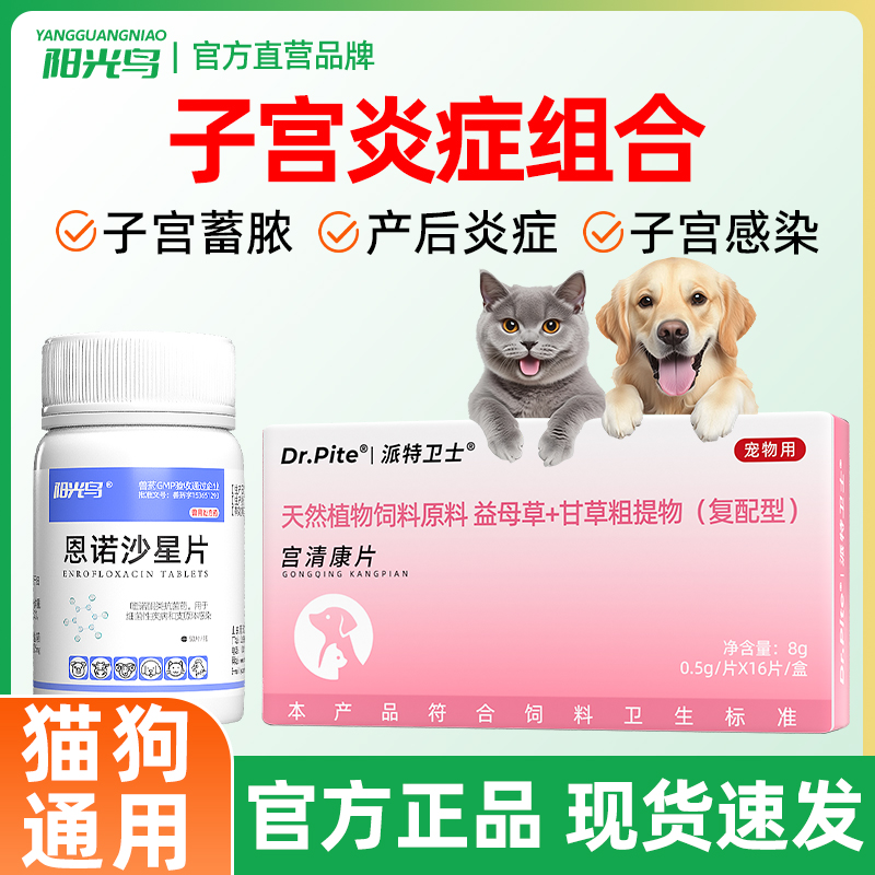 阳光鸟宫清康子宫蓄脓产后消炎
