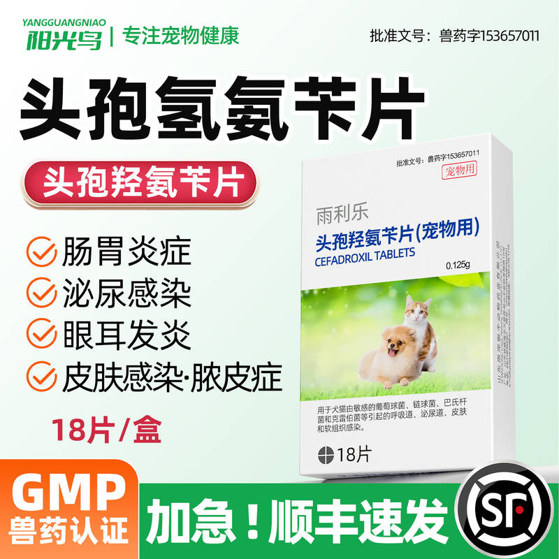 狗狗脓皮症皮肤感染头孢消消炎药