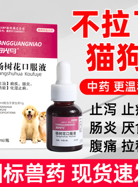 阳光鸟杨树花口服液猫咪狗狗止泻药拉稀腹泻肠胃炎痢疾血便果冻便