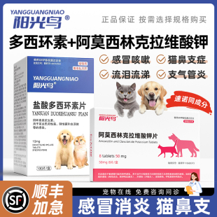 阳光鸟盐酸多西环素片宠物猫咪狗狗感冒药咳嗽干呕打喷嚏鼻支消炎