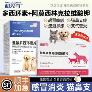 阳光鸟盐酸多西环素片宠物猫咪狗狗感冒药咳嗽干呕打喷嚏鼻支消炎