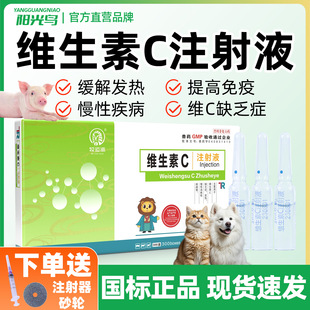 兽用维生素C注射液兽药VC针剂猪羊马宠物狗狗猫咪抗应激高热解毒