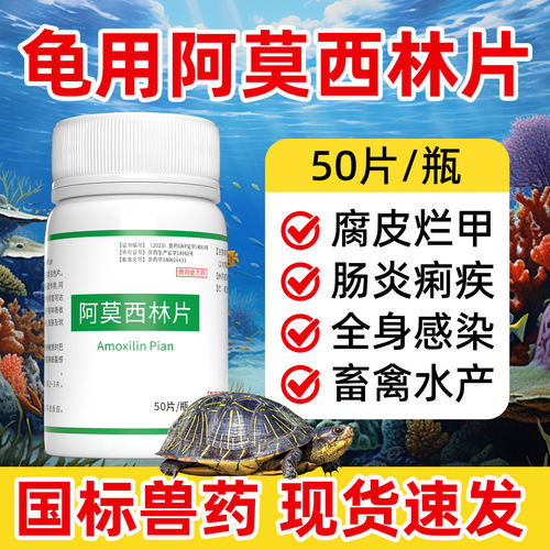 龟用阿莫西林片肺炎腐皮烂甲消炎