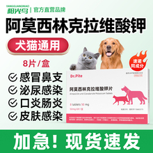 阿莫西林克拉维酸钾片宠物猫咪狗狗打喷嚏感冒咳嗽猫鼻支速消炎诺