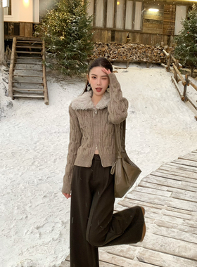 FEIMAO（YIMAO）-韩系冬季新款毛毛领拉链套头麻花纹保暖毛衣