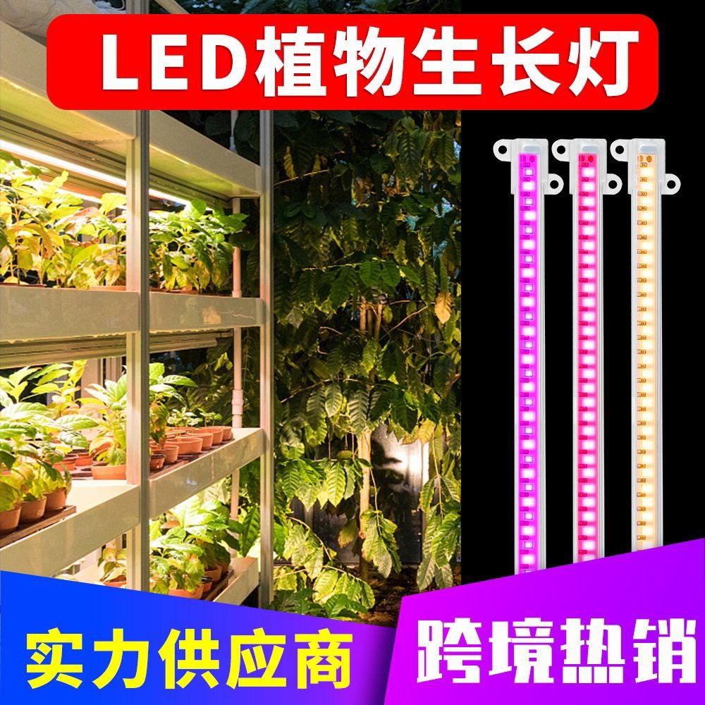谦润照明LED植物生长灯室内全光谱植物灯条温室培育定时调光厂家图片