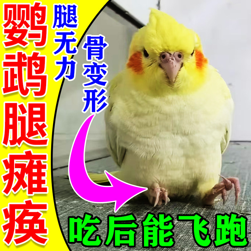 鹦鹉补钙专用粉神经炎八字腿瘫痪多维电解质营养补充剂鸟类维生素,宠物/宠物食品及用品,鸟零食,淘宝优惠券,粉丝福利购,淘宝优惠卷
