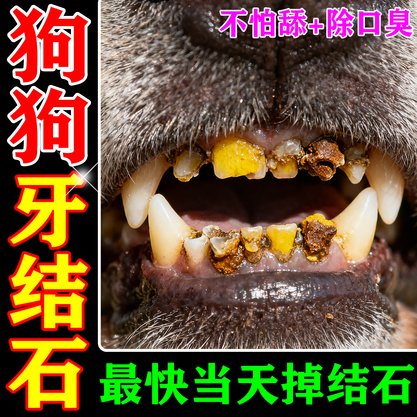 狗狗牙结石去除神器软化牙垢龈去菌斑牙齿清洁口腔除结石臭喷雾剂,宠物/宠物食品及用品,狗口腔清洁,淘宝优惠券,粉丝福利购,淘宝优惠卷