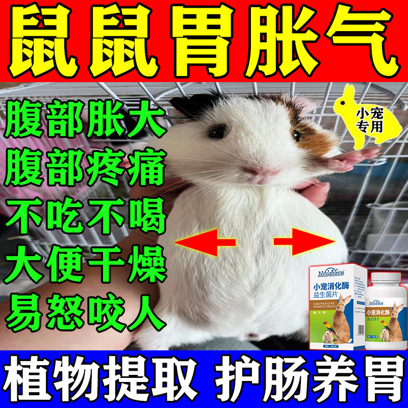仓鼠胀肚子小宠专用兔子龙猫荷兰猪便秘消化酶益生菌肠胃宝营养剂,宠物/宠物食品及用品,猫益生菌,淘宝优惠券,粉丝福利购,淘宝优惠卷
