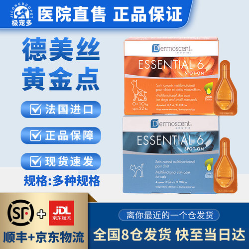 黄金点猫滴剂狗狗猫癣皮肤掉毛