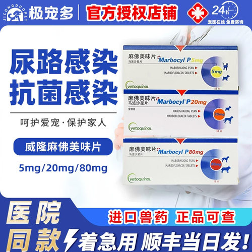 威隆消炎药宠物鼻支咳嗽尿路感染