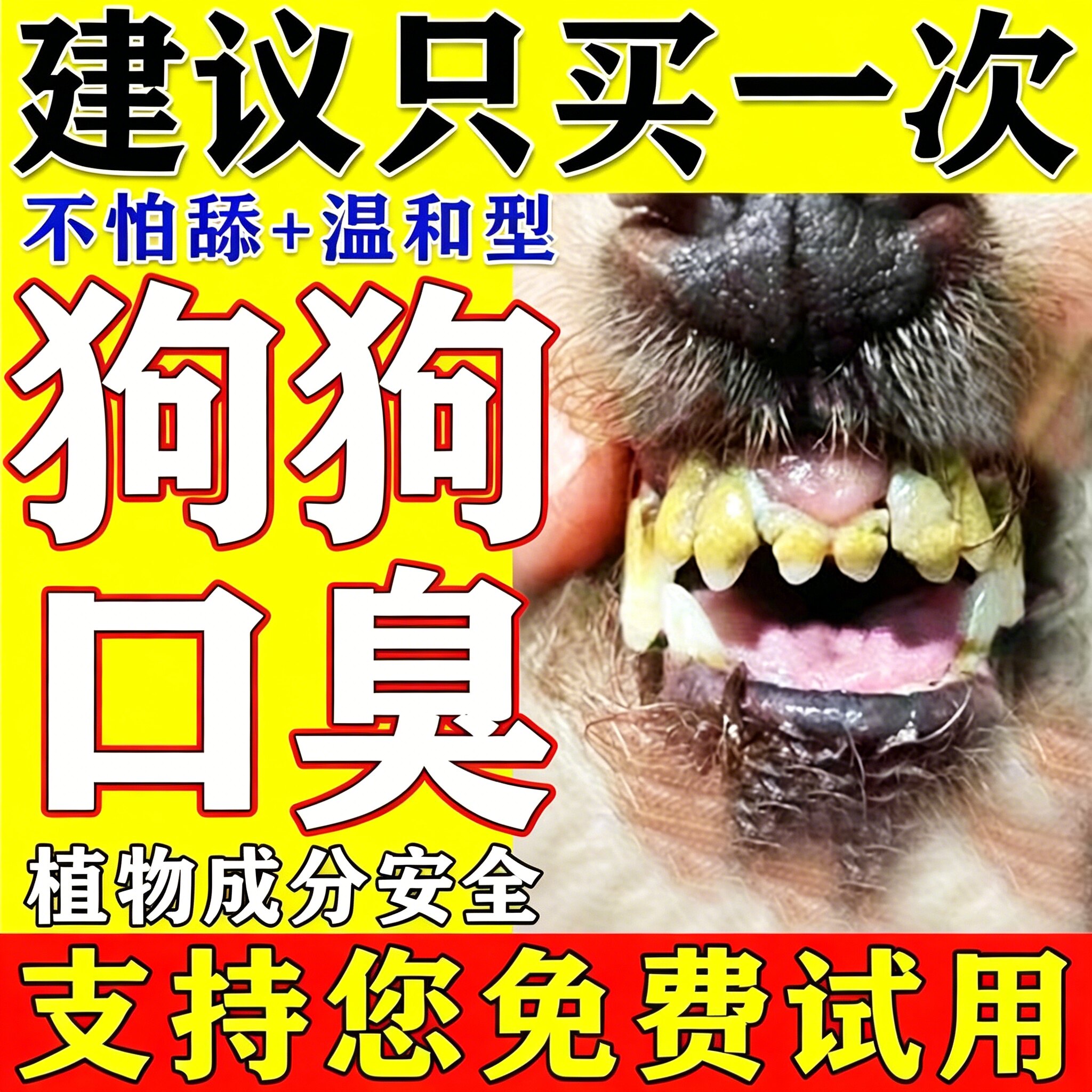狗狗牙结溶解牙石速效去除器软化剂猫狗除口臭喷剂口腔牙菌斑泰迪